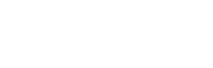 Data Sonics Corp